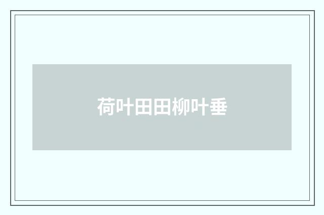 荷叶田田柳叶垂