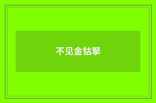 不见金钴拏