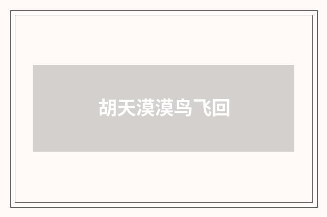 胡天漠漠鸟飞回