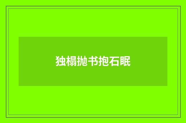 独榻抛书抱石眠