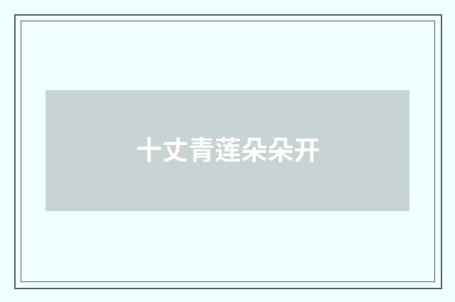 十丈青莲朵朵开