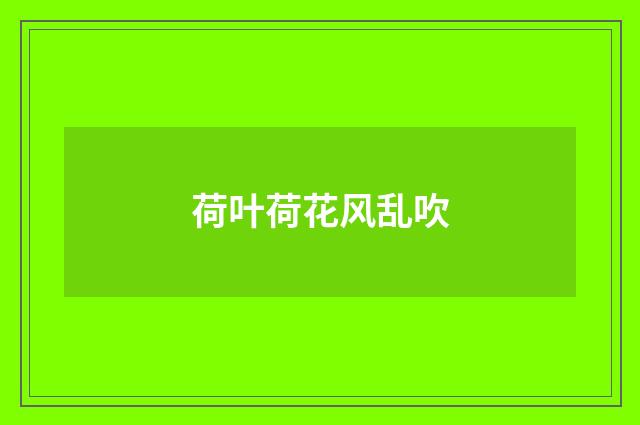 荷叶荷花风乱吹