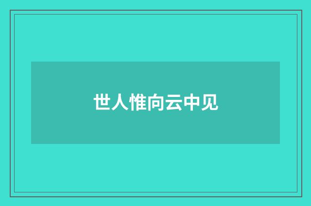 世人惟向云中见