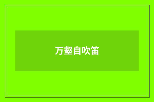 万壑自吹笛