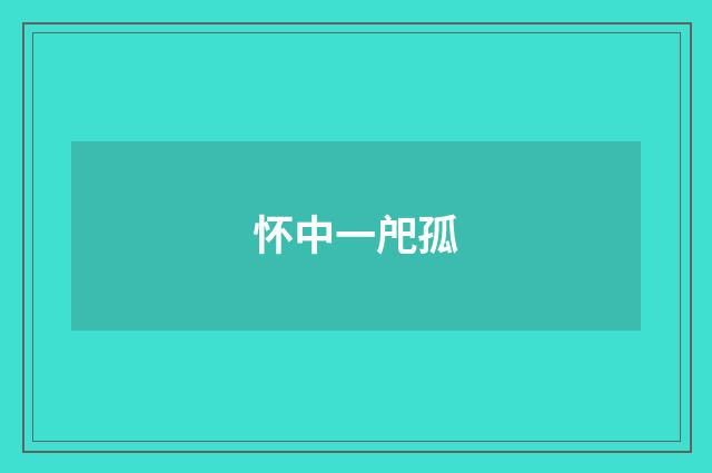怀中一戺孤