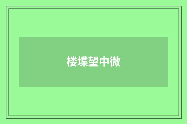 楼堞望中微