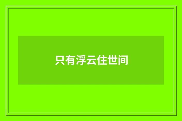 只有浮云住世间