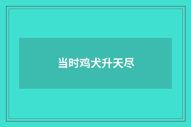 当时鸡犬升天尽