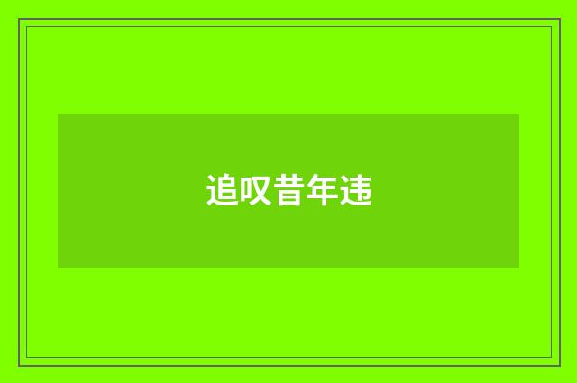 追叹昔年违