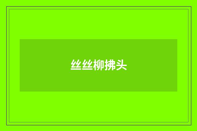 丝丝柳拂头
