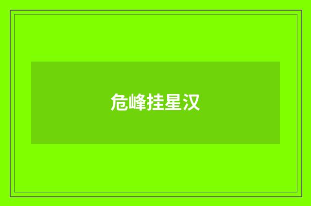 危峰挂星汉