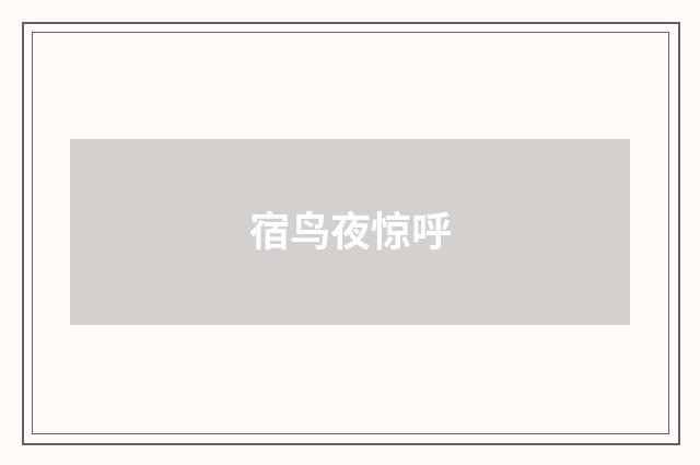 宿鸟夜惊呼