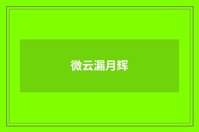 微云漏月辉