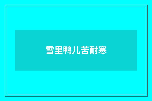 雪里鸭儿苦耐寒