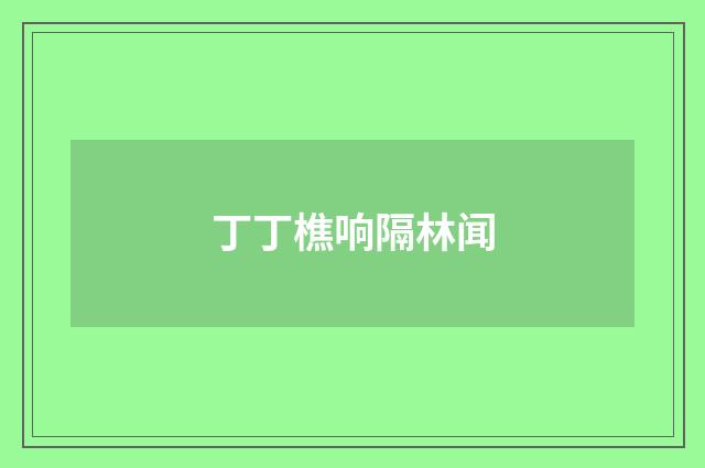 丁丁樵响隔林闻