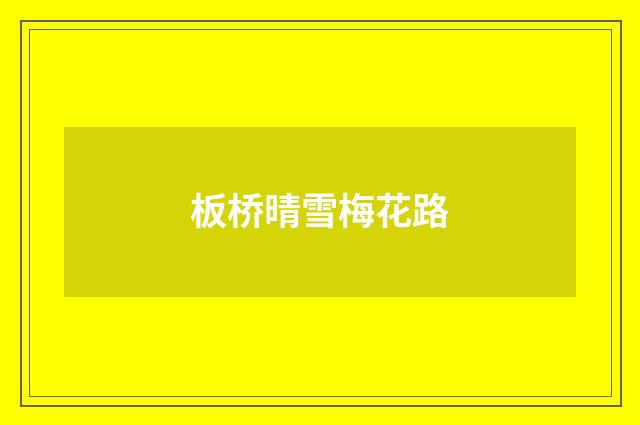 板桥晴雪梅花路