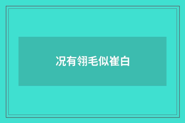 况有翎毛似崔白