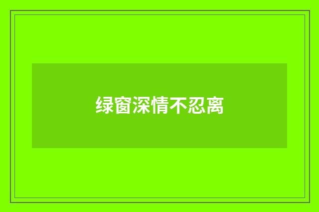 绿窗深情不忍离