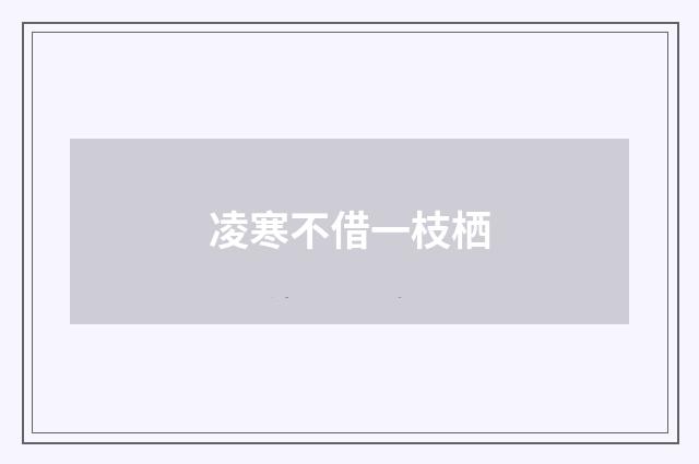 凌寒不借一枝栖
