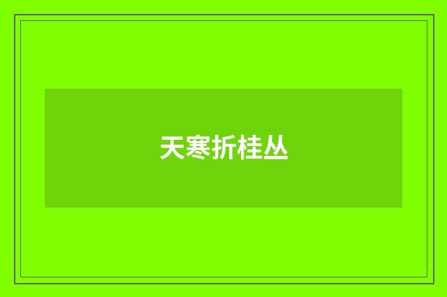 天寒折桂丛