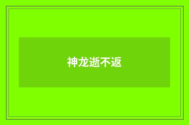神龙逝不返