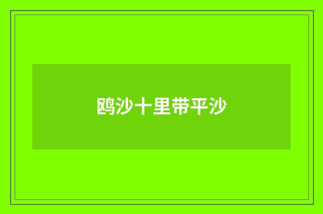 鸥沙十里带平沙