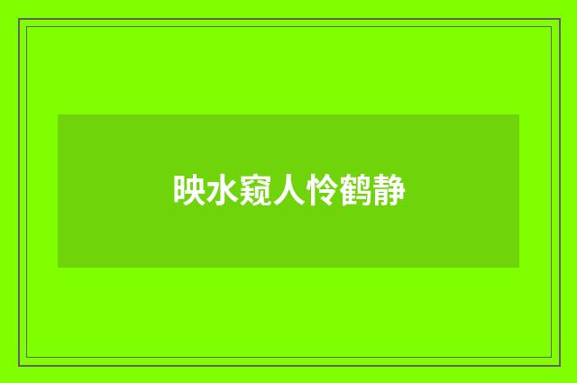 映水窥人怜鹤静