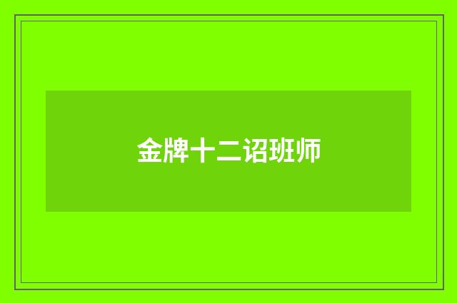 金牌十二诏班师