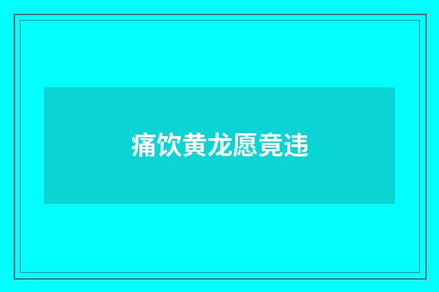 痛饮黄龙愿竟违