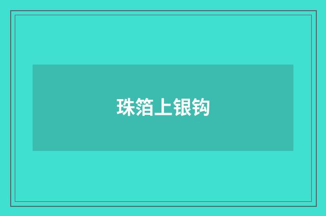 珠箔上银钩