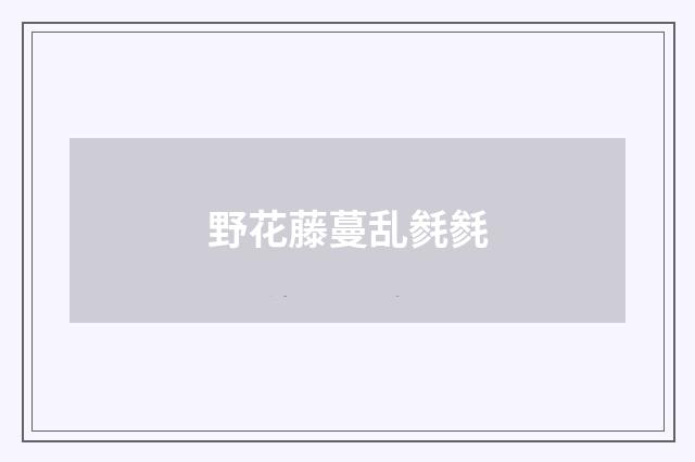 野花藤蔓乱毵毵