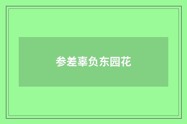 参差辜负东园花