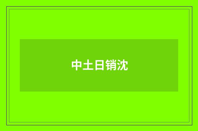 中土日销沈
