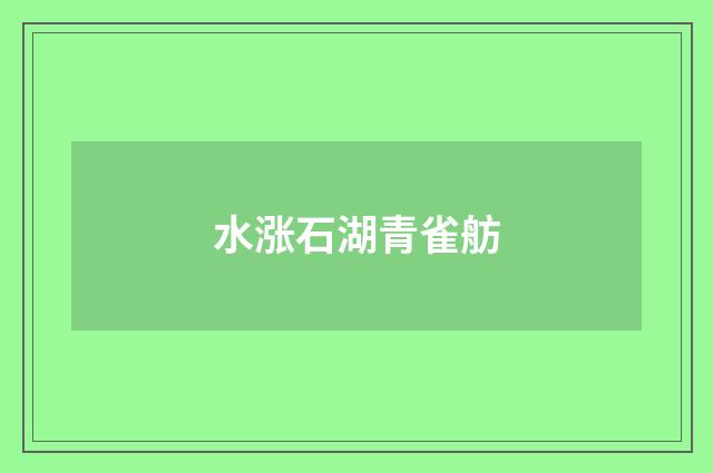 水涨石湖青雀舫