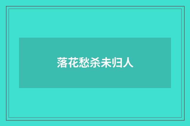 落花愁杀未归人