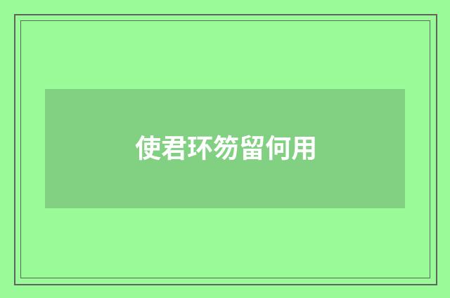 使君环笏留何用