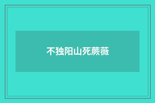 不独阳山死蕨薇