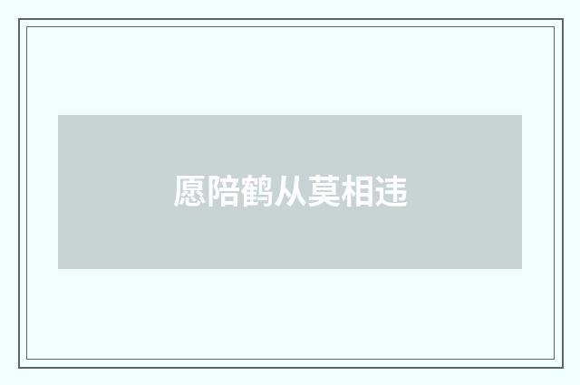 愿陪鹤从莫相违