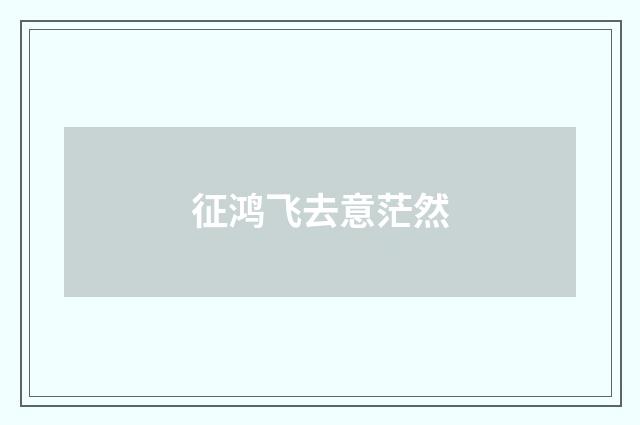 征鸿飞去意茫然