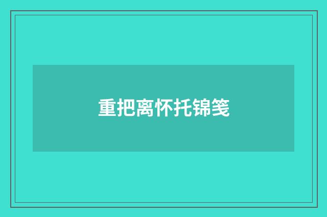 重把离怀托锦笺