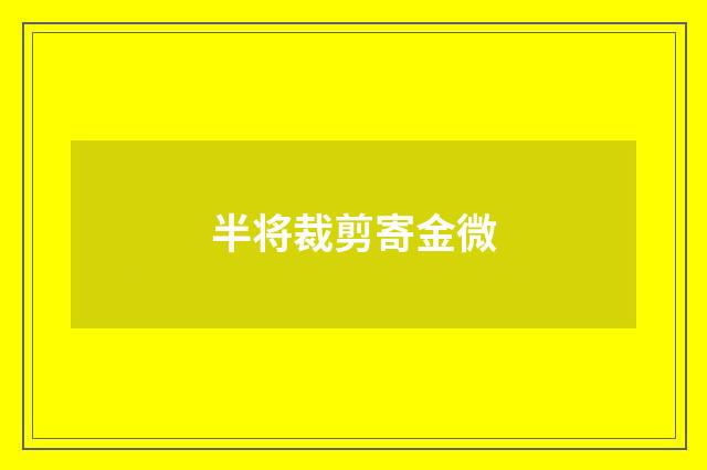 半将裁剪寄金微
