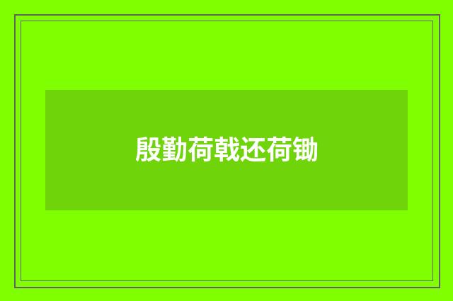 殷勤荷戟还荷锄