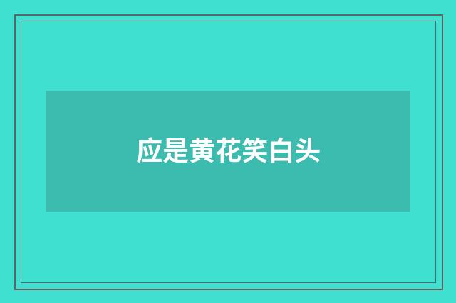 应是黄花笑白头