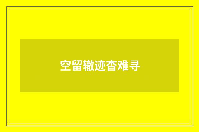空留辙迹杳难寻