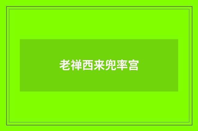 老禅西来兜率宫
