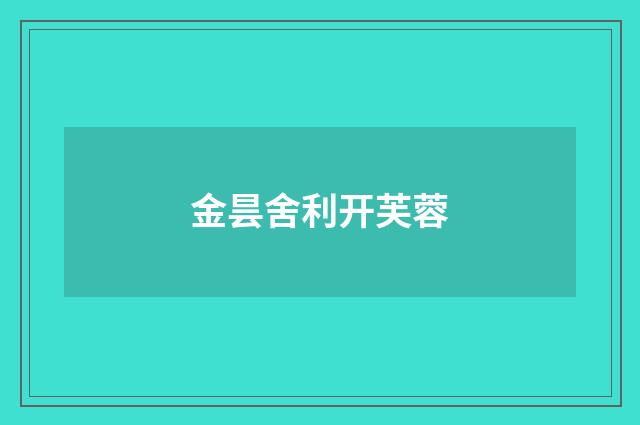 金昙舍利开芙蓉