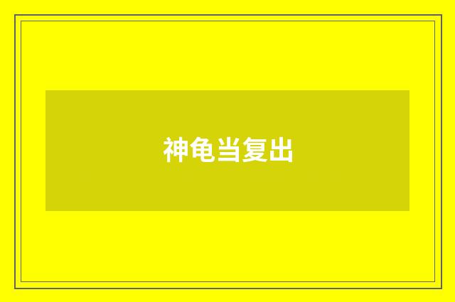 神龟当复出