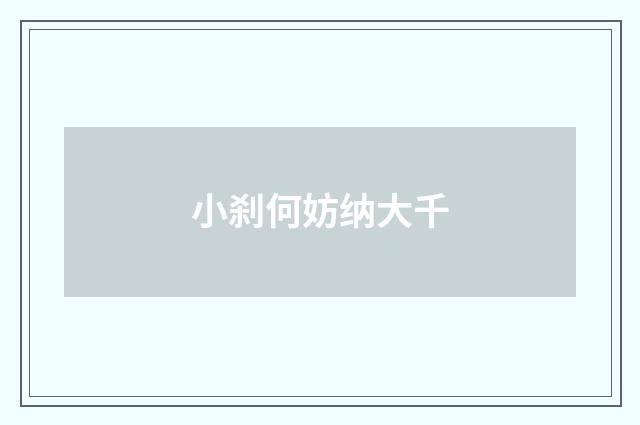 小刹何妨纳大千