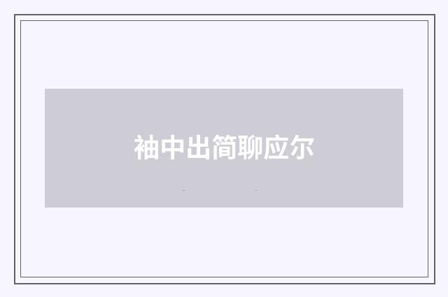 袖中出简聊应尔