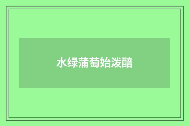 水绿蒲萄始泼醅